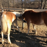 Nash &amp; Merry sharing breakfast