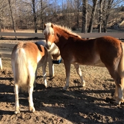 Nash &amp; Merry sharing breakfast 2.jpeg