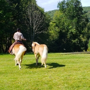 Tom Wagoner riding Neo, ponying Merry.jpg