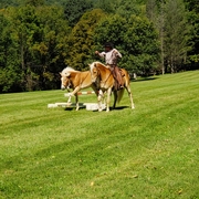 Tom Wagoner riding Neo, Ponying Merry.jpg