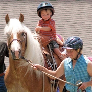 boy-haflinger.jpg