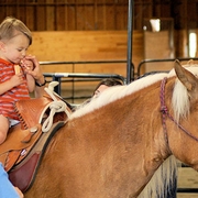 kid-on-haflinger.jpg