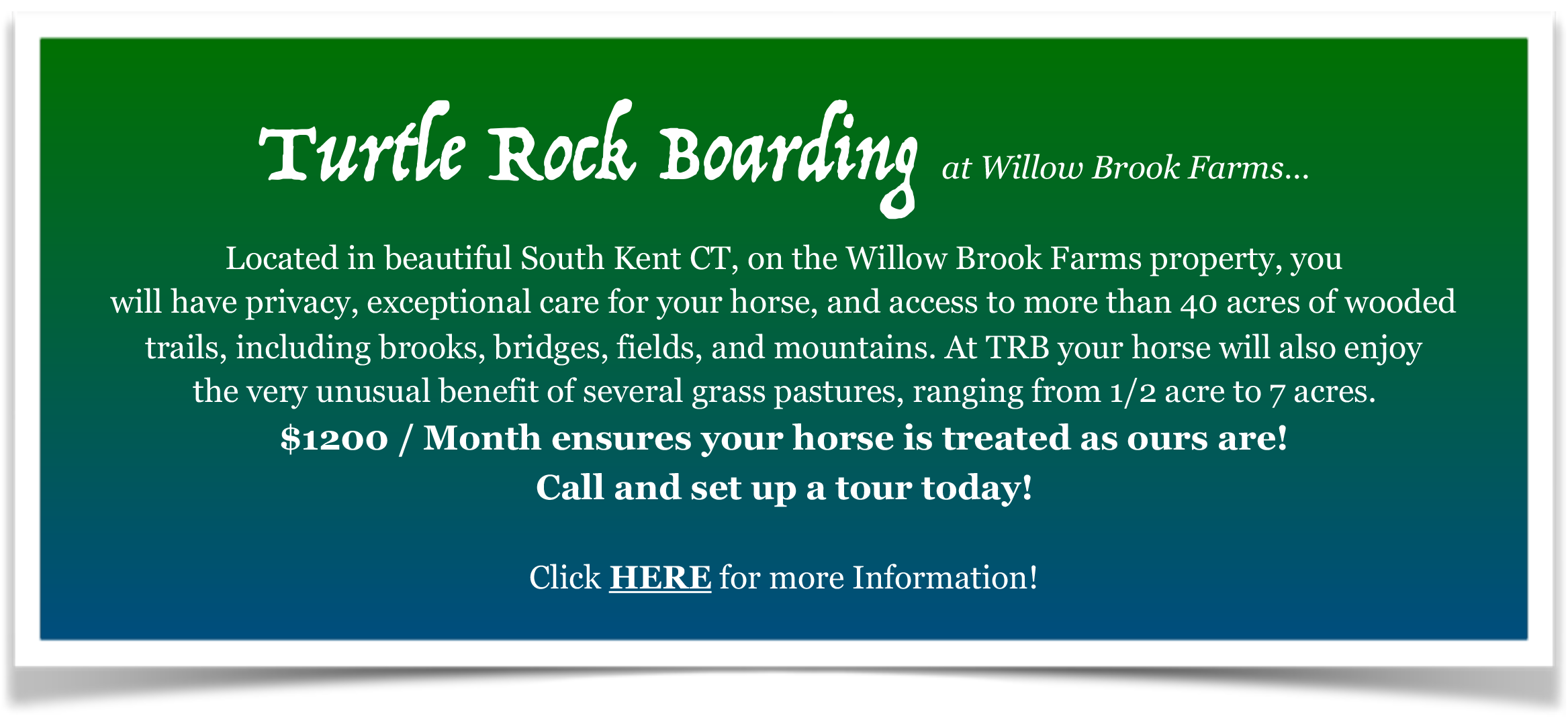 Turtle Rock Boarding
